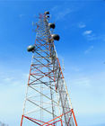 Tháp điện thoại di động giả cây cọ 30 mét GSM Antenna